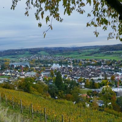 P026 Abstieg über den Reben